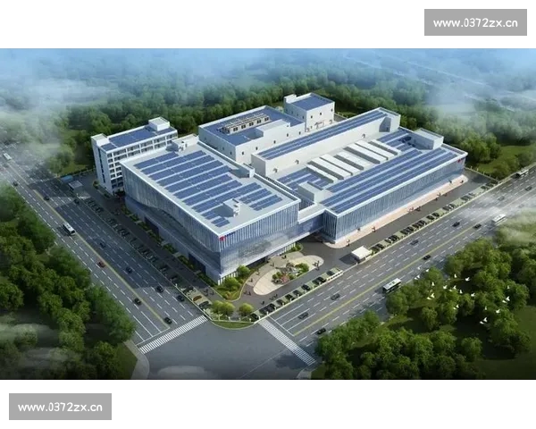 体育赛事驱动城市活力升级与全民健康新格局探索之路发展趋势与未来愿景